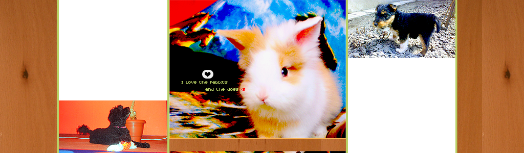 ___ i love the rabbits and the dogs <3
